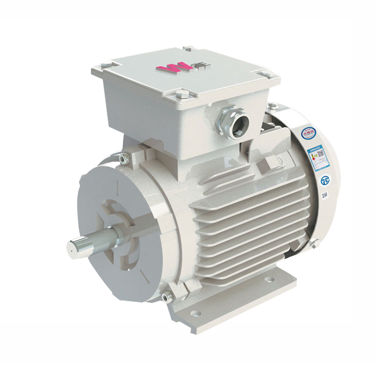 YFB3 Series High Efficiency Dust Flameproof 3-Phase Induction Motors